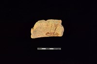 陶片藏品圖，第2張